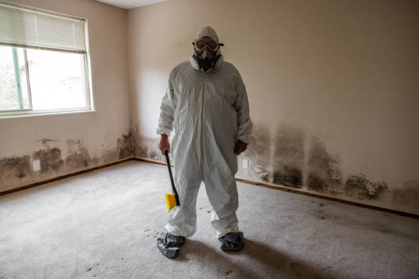 Best Industrial Mold Remediation  in Highspire, PA